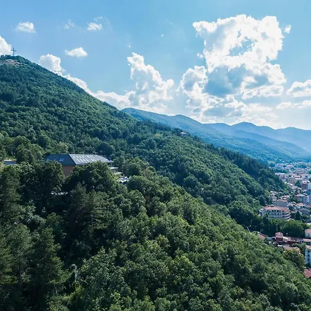 The Lynx Mountain Флорина