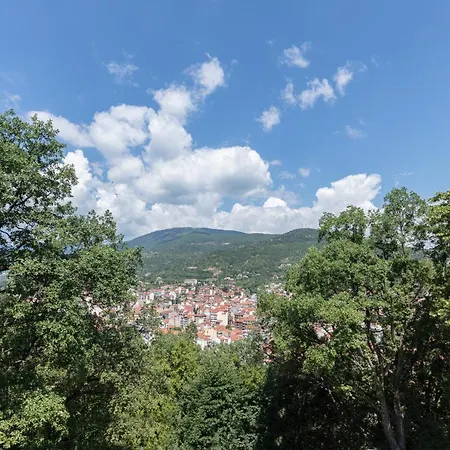 The Lynx Mountain Флорина