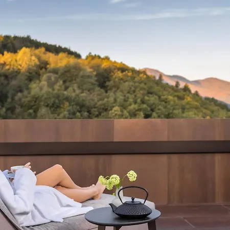 Hotel The Lynx Mountain