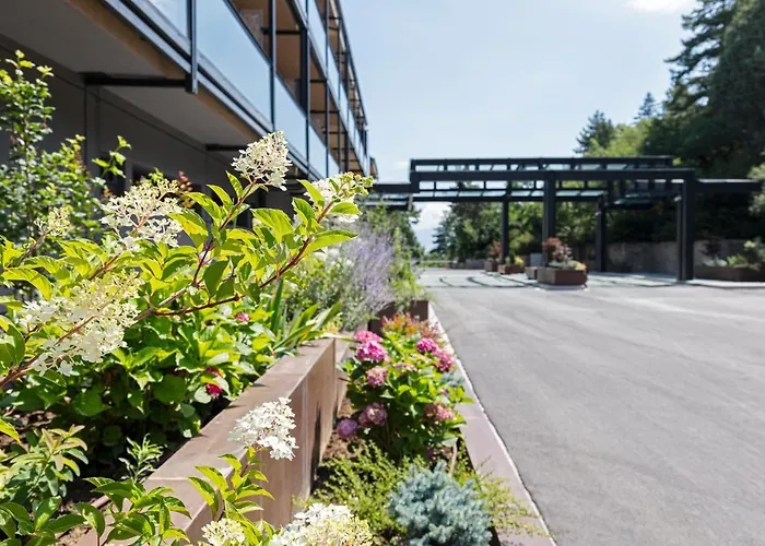 The Lynx Mountain Hotel