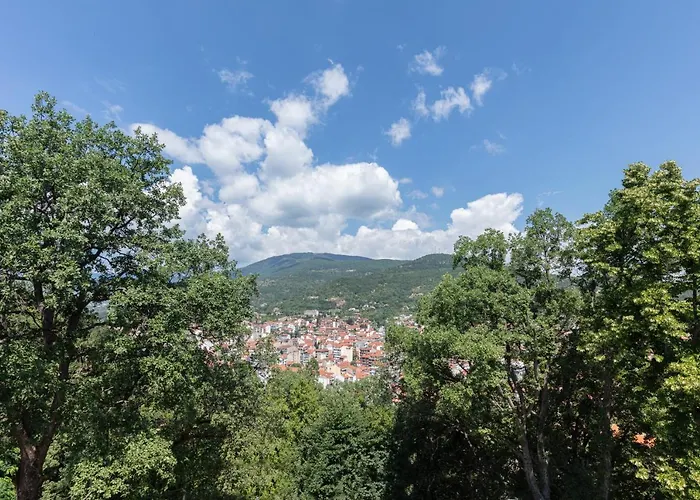 The Lynx Mountain فلورينا